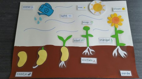 Nieuws uit de kleuterklas – Thema: Groeien en Bloeien 🌱🌸